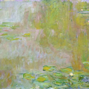 Клод Моне — Пруд с кувшинками (1917)