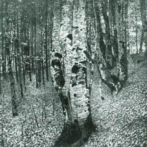 Густав Климт 147