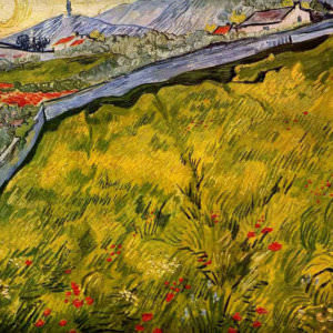 Винсент Ван Гог - Огороженный луг 1889