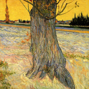 Винсент Ван Гог – Ствол старого тиса